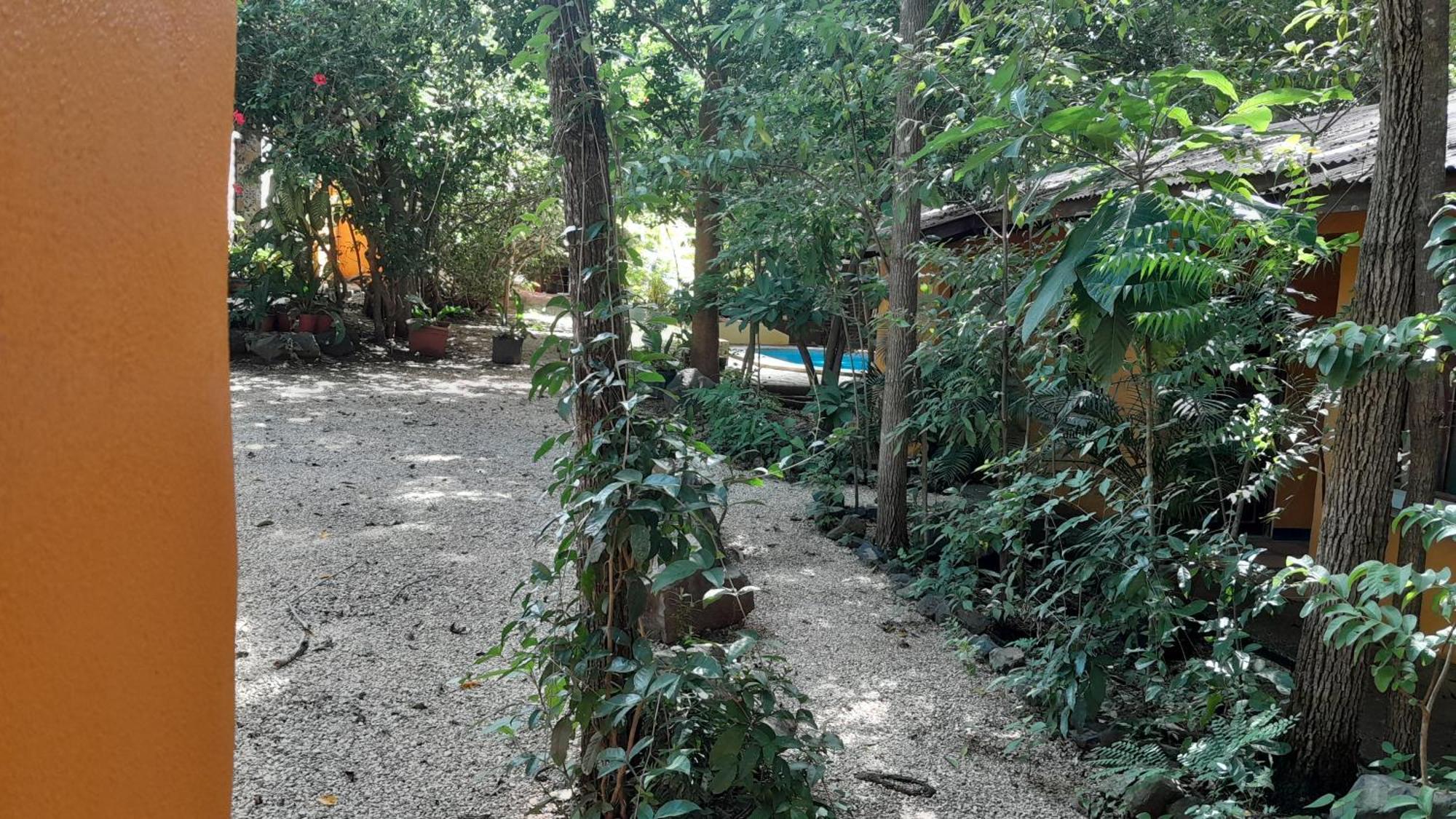 Hotel Cabinas La Playa Playa Avellana Kültér fotó