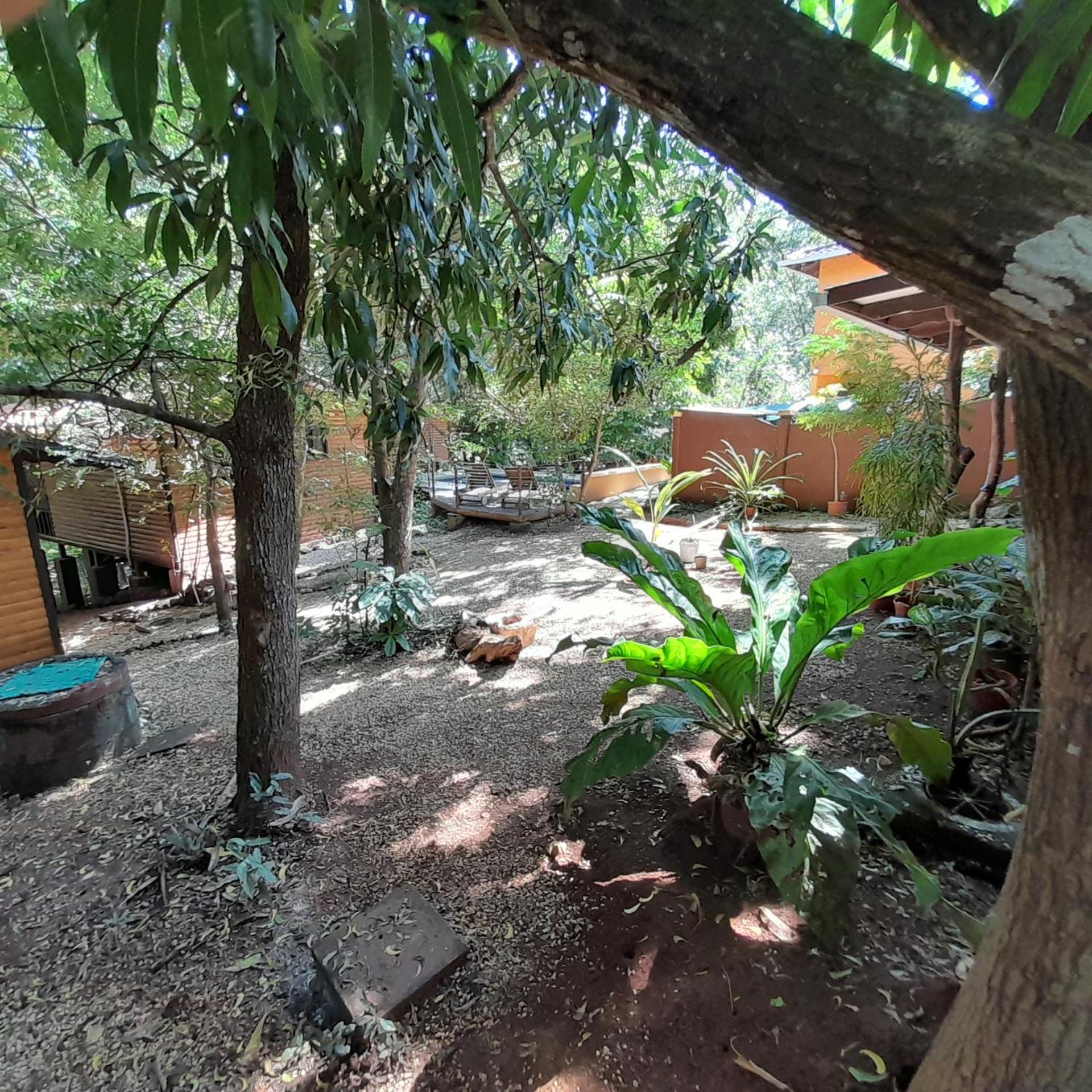 Hotel Cabinas La Playa Playa Avellana Kültér fotó