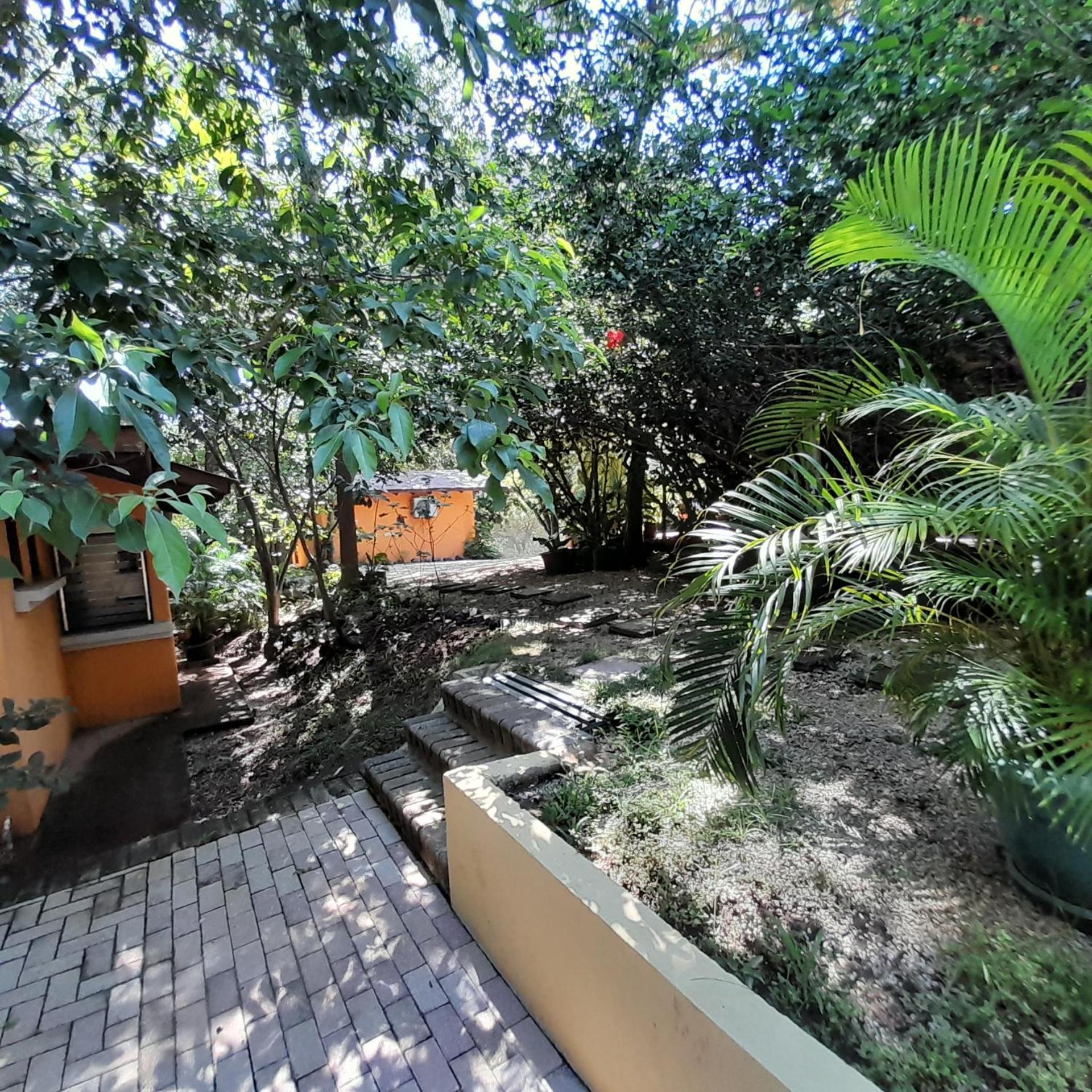 Hotel Cabinas La Playa Playa Avellana Kültér fotó