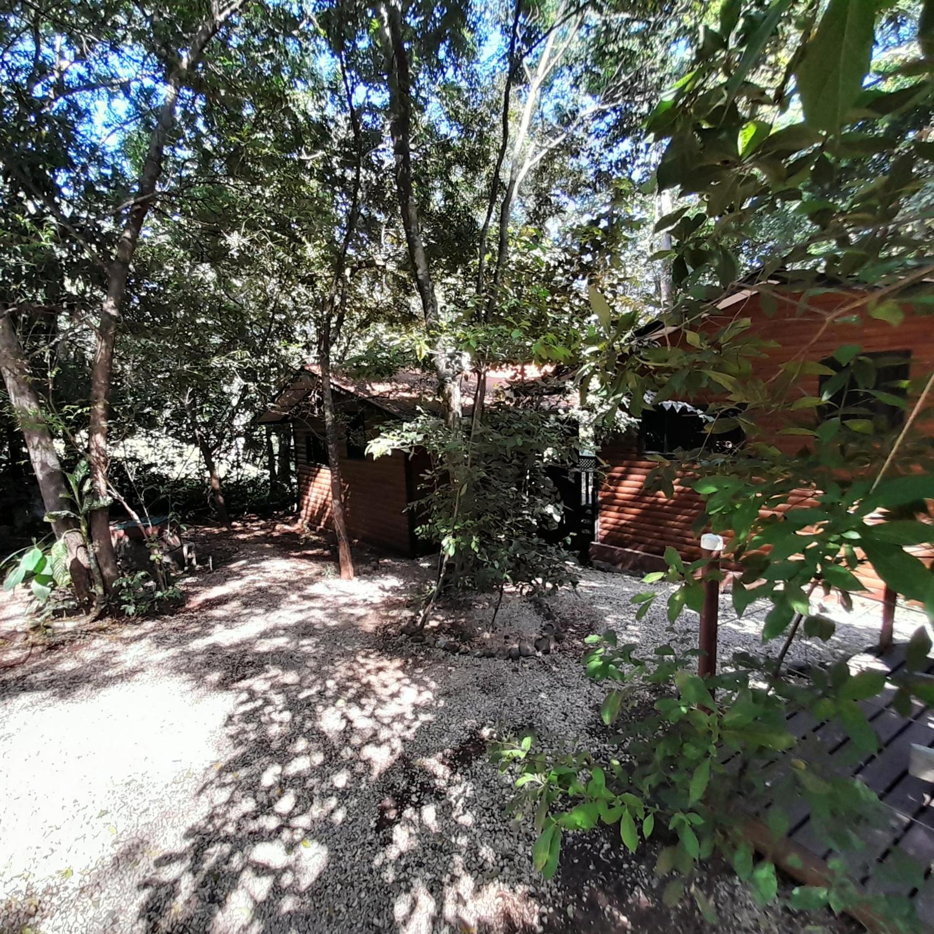 Hotel Cabinas La Playa Playa Avellana Kültér fotó