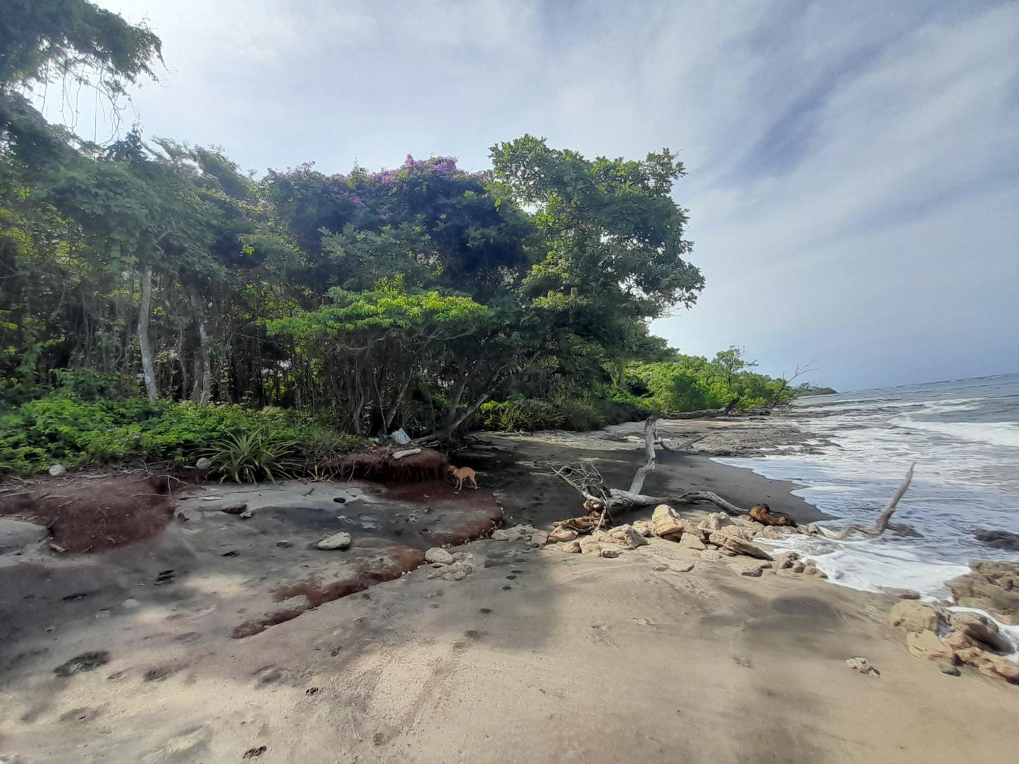 Hotel Cabinas La Playa Playa Avellana Kültér fotó