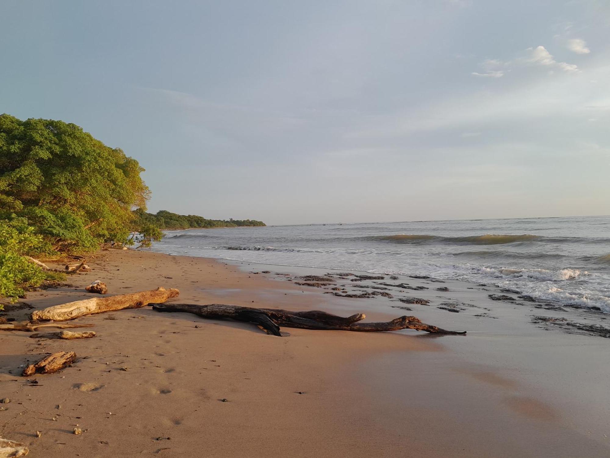 Hotel Cabinas La Playa Playa Avellana Kültér fotó